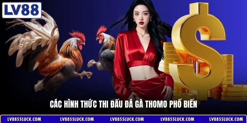 Các hình thức thi đấu đá gà Thomo phổ biến